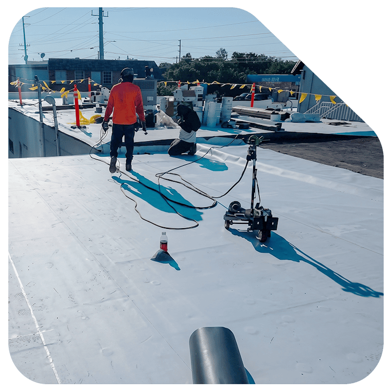 Suspended Ceiling Installation